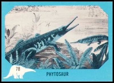 78 Phytosaur